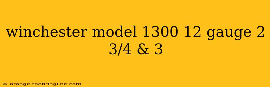 winchester model 1300 12 gauge 2 3/4 & 3