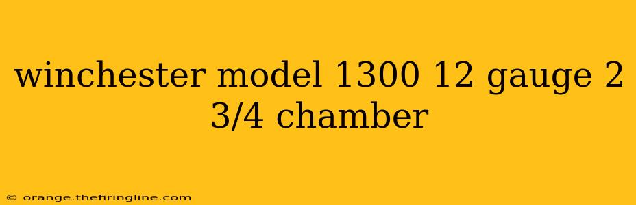 winchester model 1300 12 gauge 2 3/4 chamber