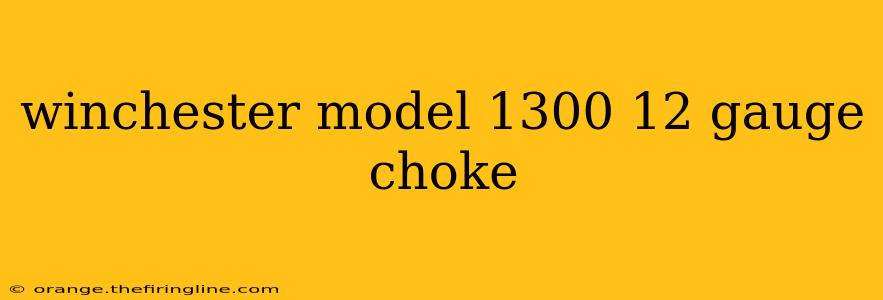 winchester model 1300 12 gauge choke