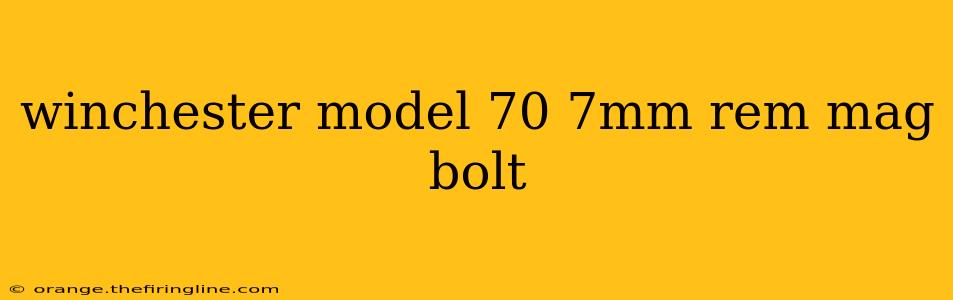 winchester model 70 7mm rem mag bolt