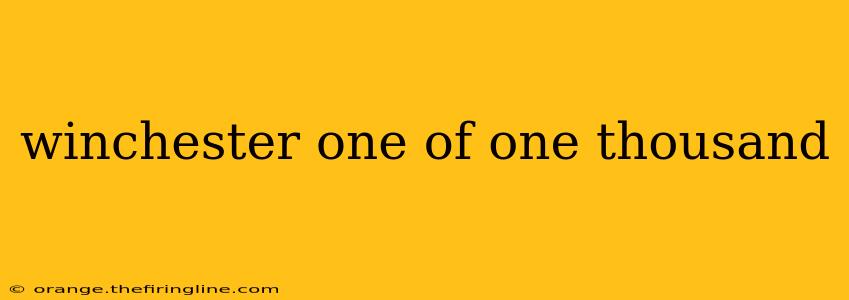 winchester one of one thousand