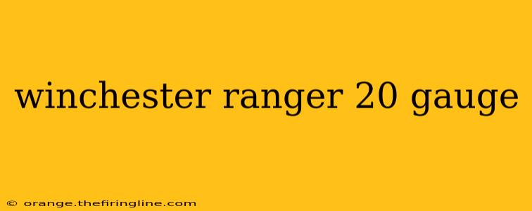 winchester ranger 20 gauge