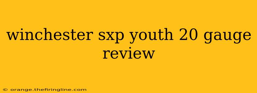 winchester sxp youth 20 gauge review