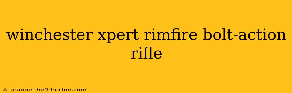 winchester xpert rimfire bolt-action rifle