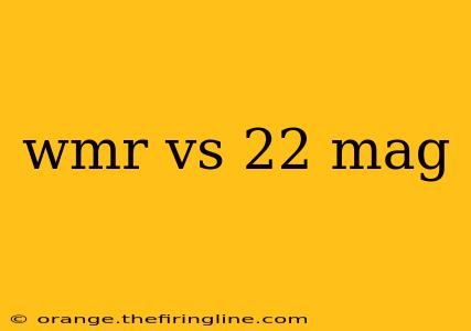 wmr vs 22 mag