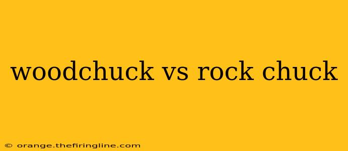 woodchuck vs rock chuck