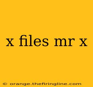 x files mr x