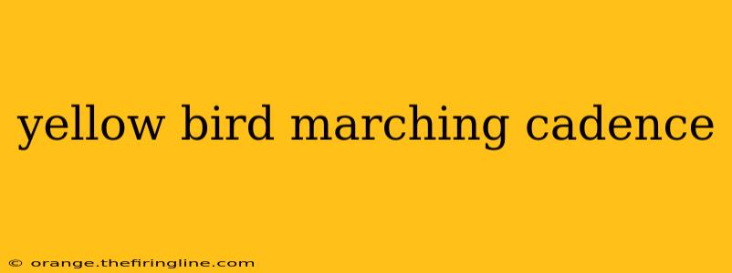 yellow bird marching cadence