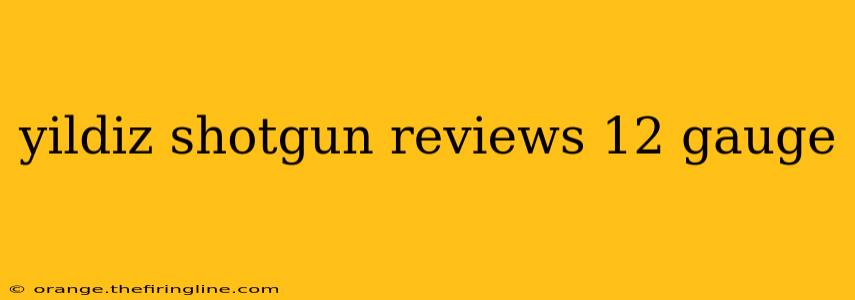 yildiz shotgun reviews 12 gauge