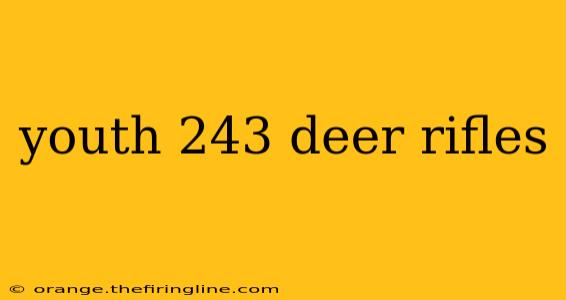 youth 243 deer rifles